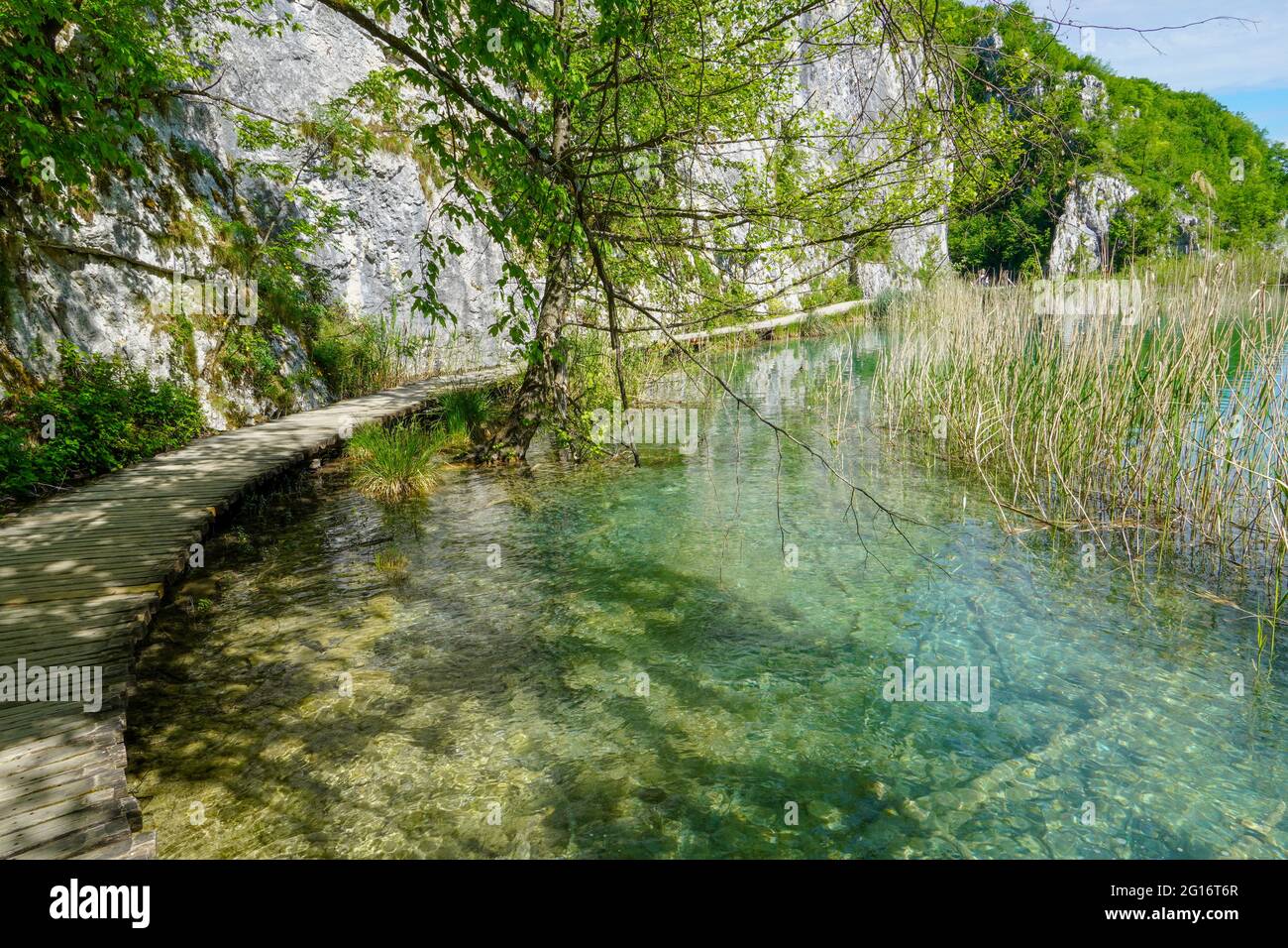 Bella vecchia passerella in legno proprio accanto ad un bellissimo e tranquillo lago turchese. Shot nei laghi di Plitvice, Croazia. Foto Stock