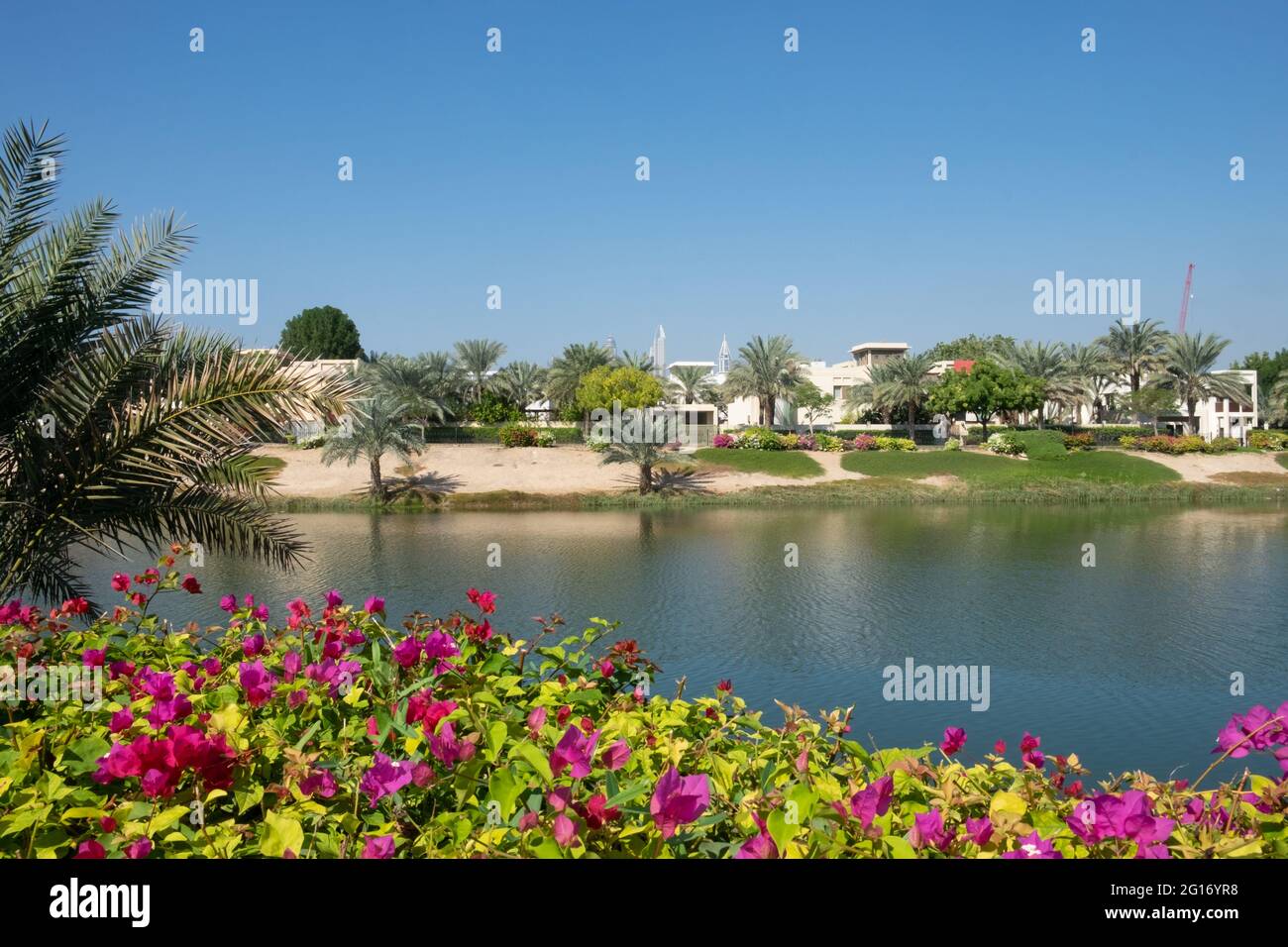 Laghi e arbusti colorati creano un ambiente lussureggiante nelle Emirates Hills, dove molti ricchi e famosi hanno la loro residenza di Dubai, Dubai, Emirati Arabi Uniti, 3.12 Foto Stock