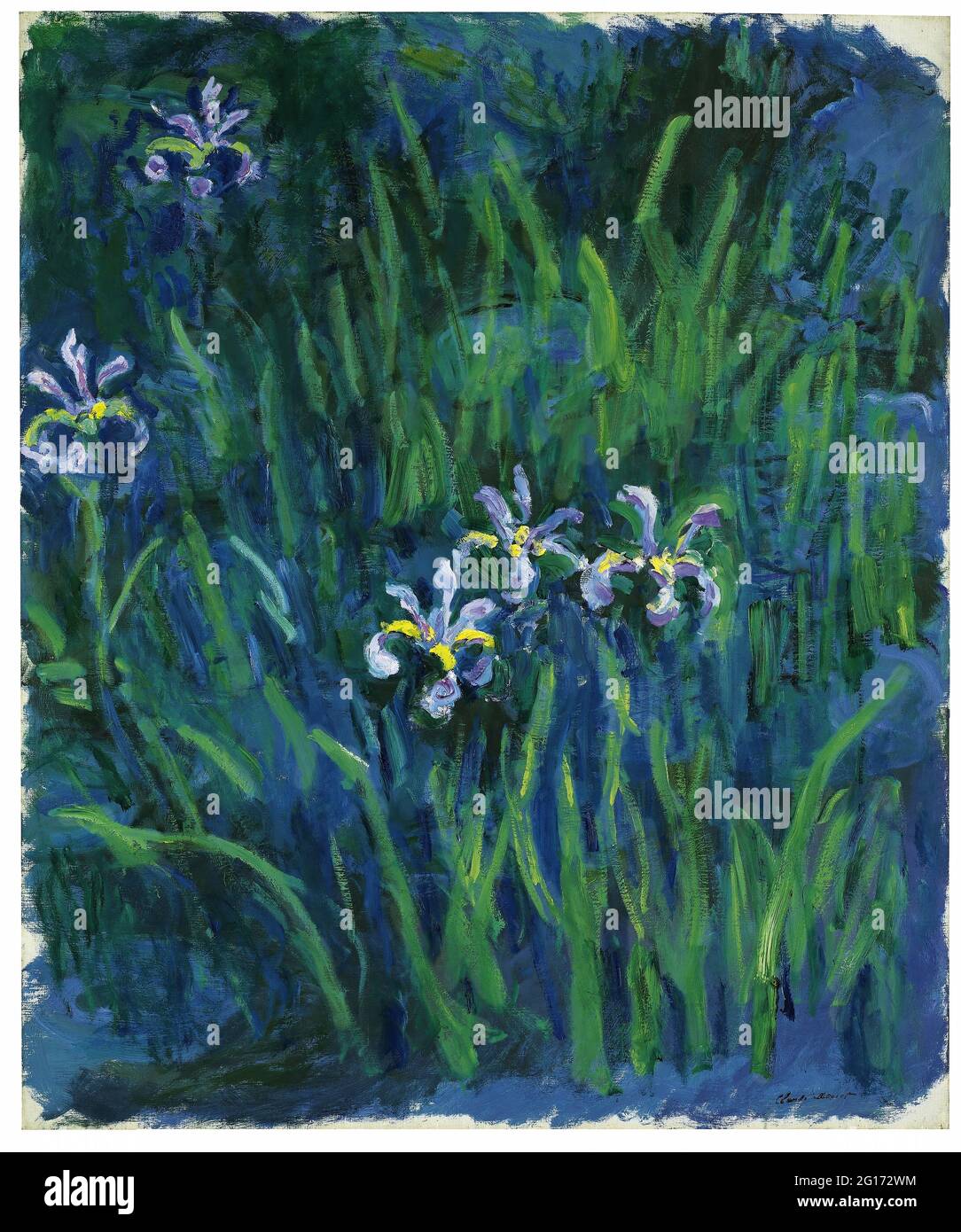 Claude Monet - Iris Foto stock - Alamy