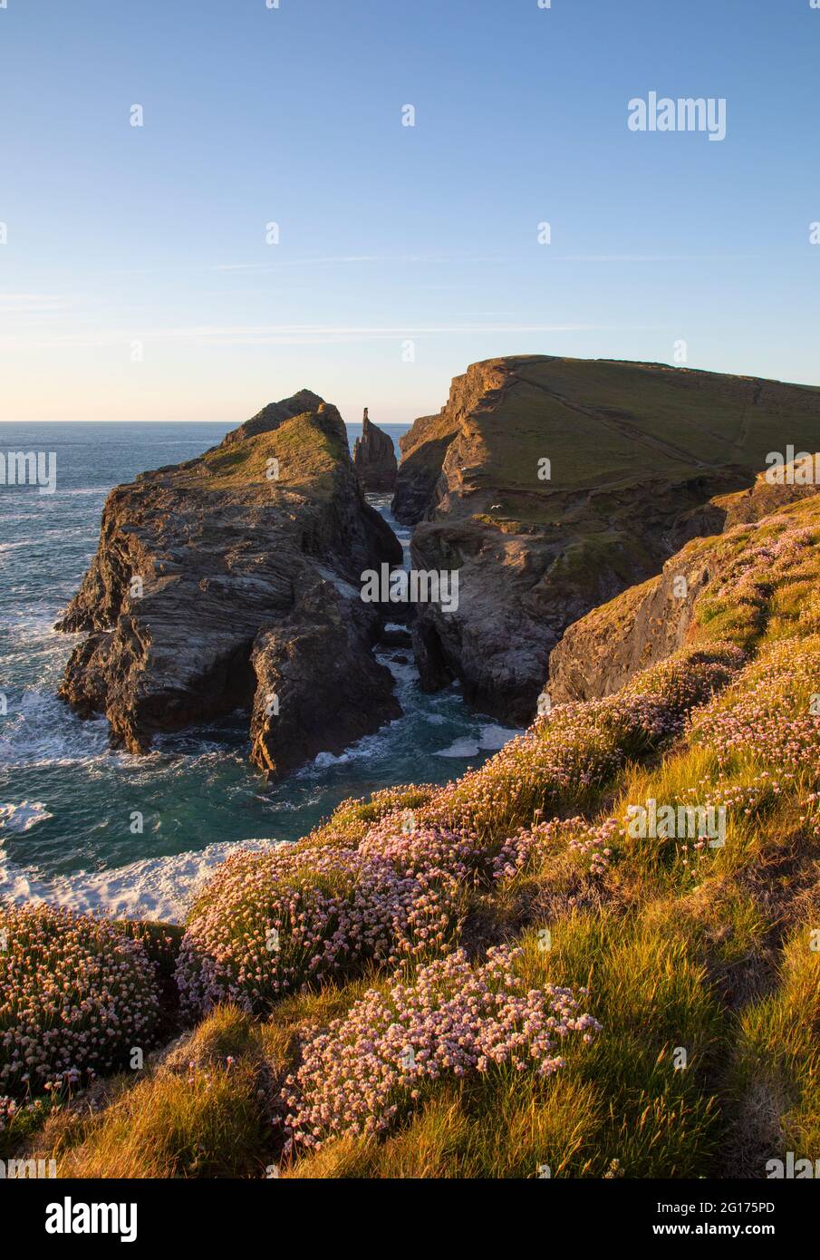 Gunver Head North Cornwall Foto Stock