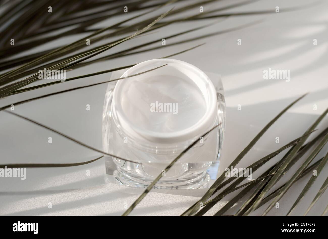 Un vaso aperto di crema su uno sfondo chiaro con ramoscelli di palma. Concetto di cura della pelle Foto Stock
