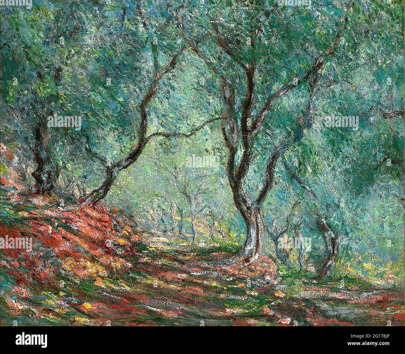 Claude Monet - Olive Tree Wood Moreno Giardino 1884 Foto Stock