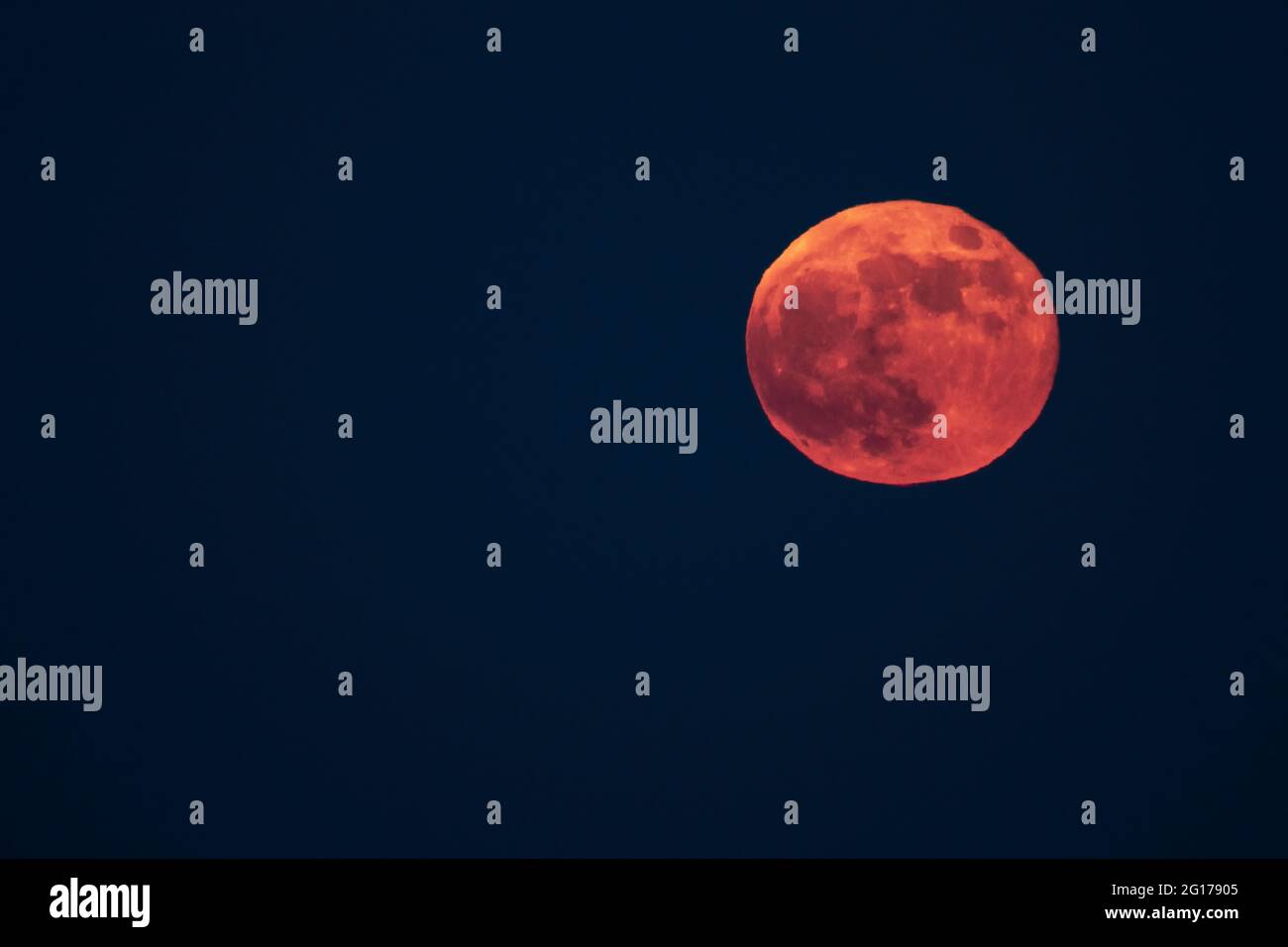 La luna piena sorge sulla luna piena del fiore 'Bloody' il 26 maggio 2021. Foto Stock
