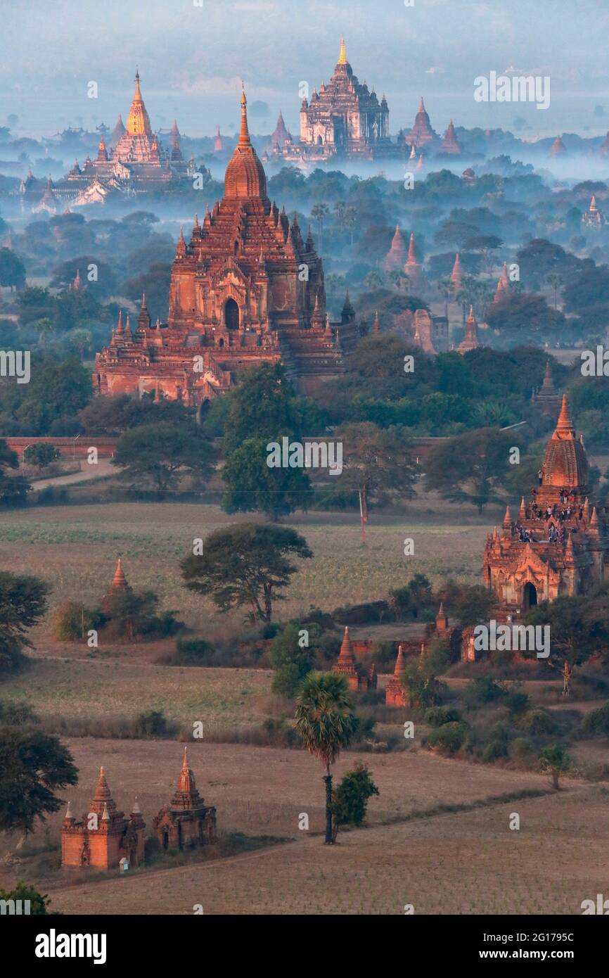Una vista aerea di prima mattina di alcune delle centinaia di templi nella zona archeologica dell'antica città di Bagan in Myanmar (Birmania). Foto Stock