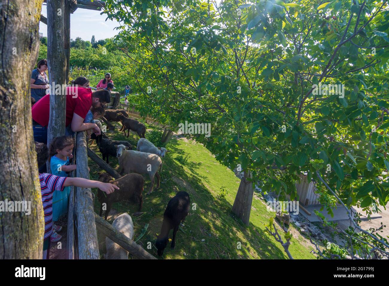 Wien, Vienna: Blumengärten (giardini fioriti) Hirschstetten, visitatori allo zoo di animali nel 22. Donaustadt, Vienna, Austria Foto Stock