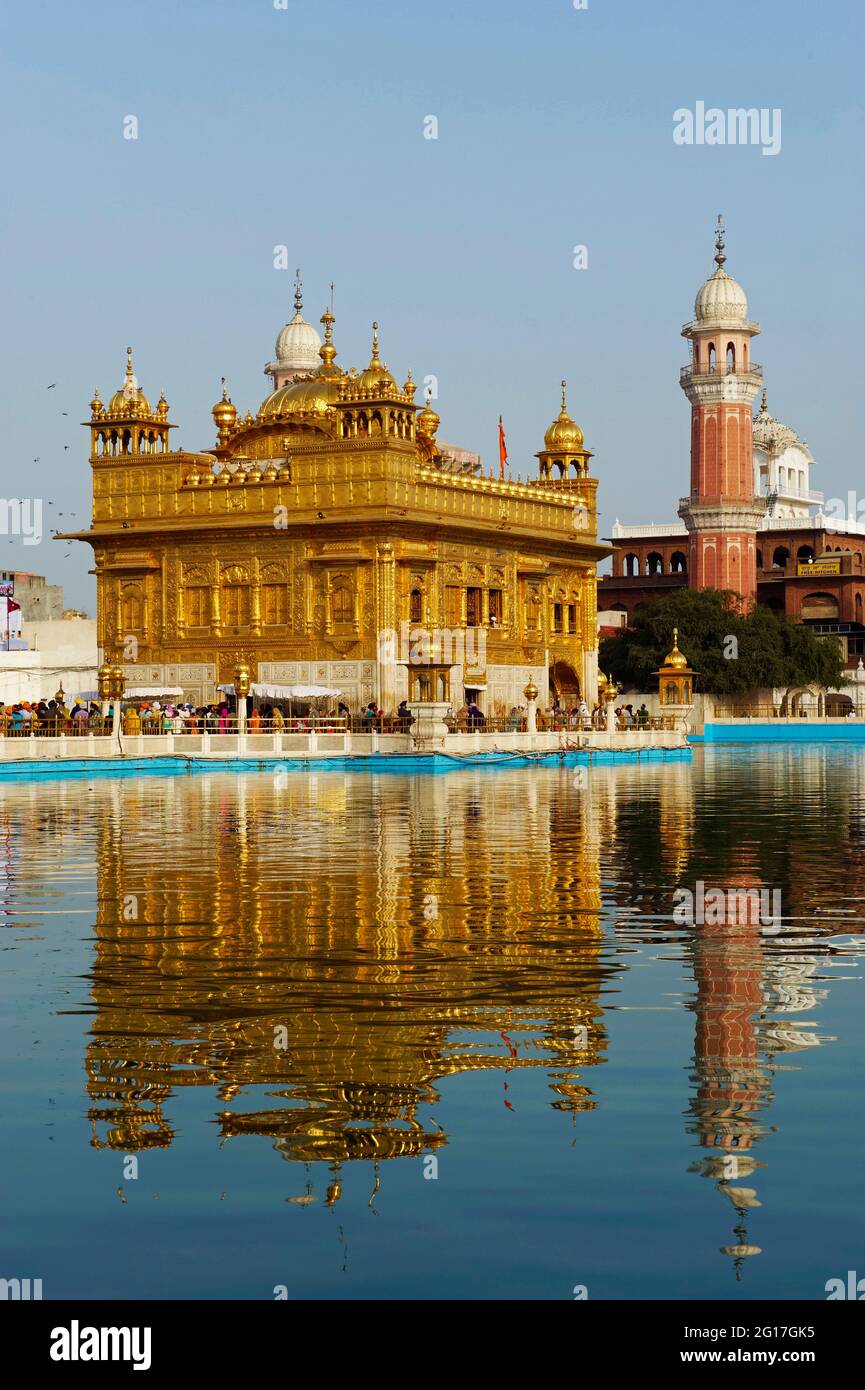India, Penjab, Amritsar, Harmandir Sahib (Tempio d'oro), centro spirituale e culturale della religione Sikh Foto Stock