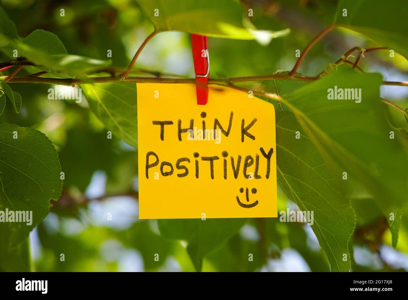 Una nota di carta con scritto 'pensare positivamente' su di essa attaccato ad un albero con una spilla di vestiti. Primo piano. Foto Stock