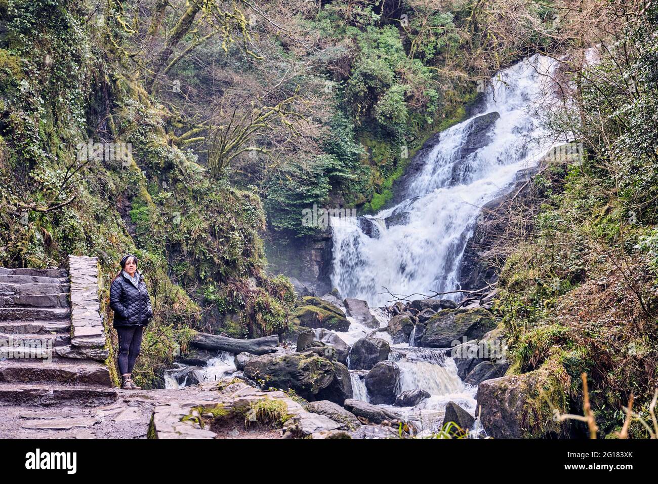 Donna esplorare Killarney National Park, Co. Kerry, Irlanda, Europa 2018 Foto Stock