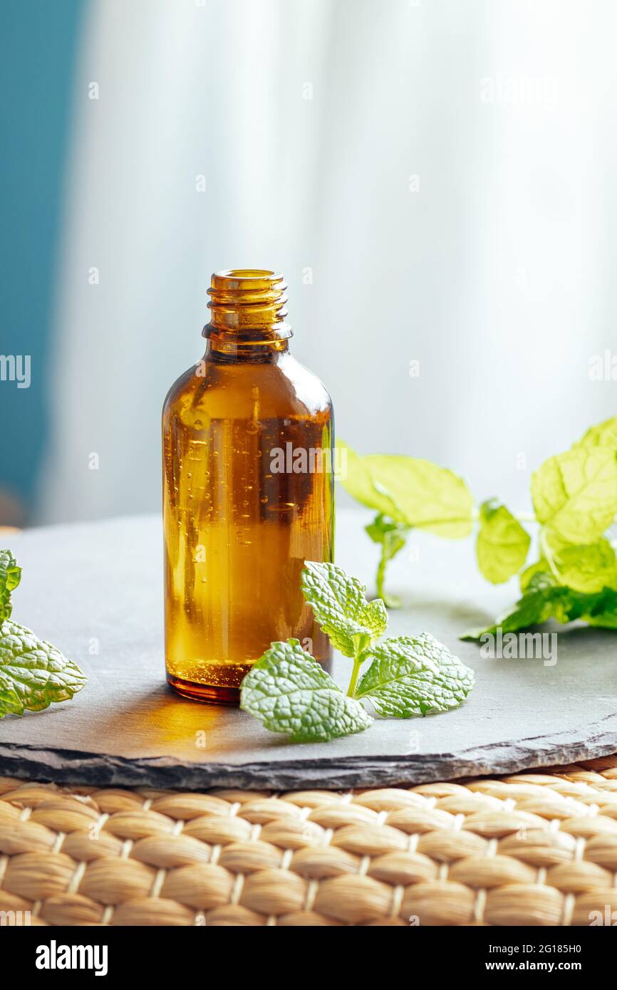 Olio essenziale di menta o menta piperita in una bottiglia di vetro utilizzata come medicina alternativa in aromaterapia o diluito in a. olio di supporto direttamente sulla pelle Foto Stock