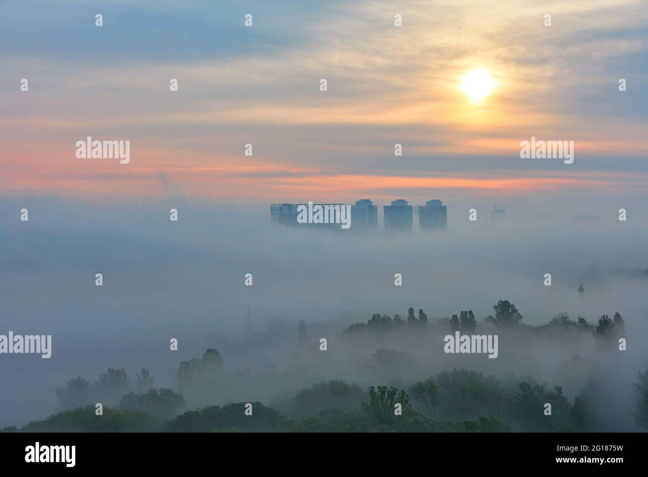 Una fitta nebbia si diffonde in basso tra gli alberi del parco della città la mattina presto sullo sfondo dei raggi soffici del sole nascente. Foto Stock