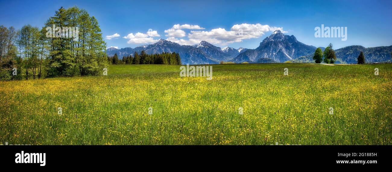 DE - BAVARIA/SVEVIA/Ostallgäu: Paesaggio idilliaco vicino a Füssen con i monti Säuling e Tegelberg (HDR-Image) Foto Stock