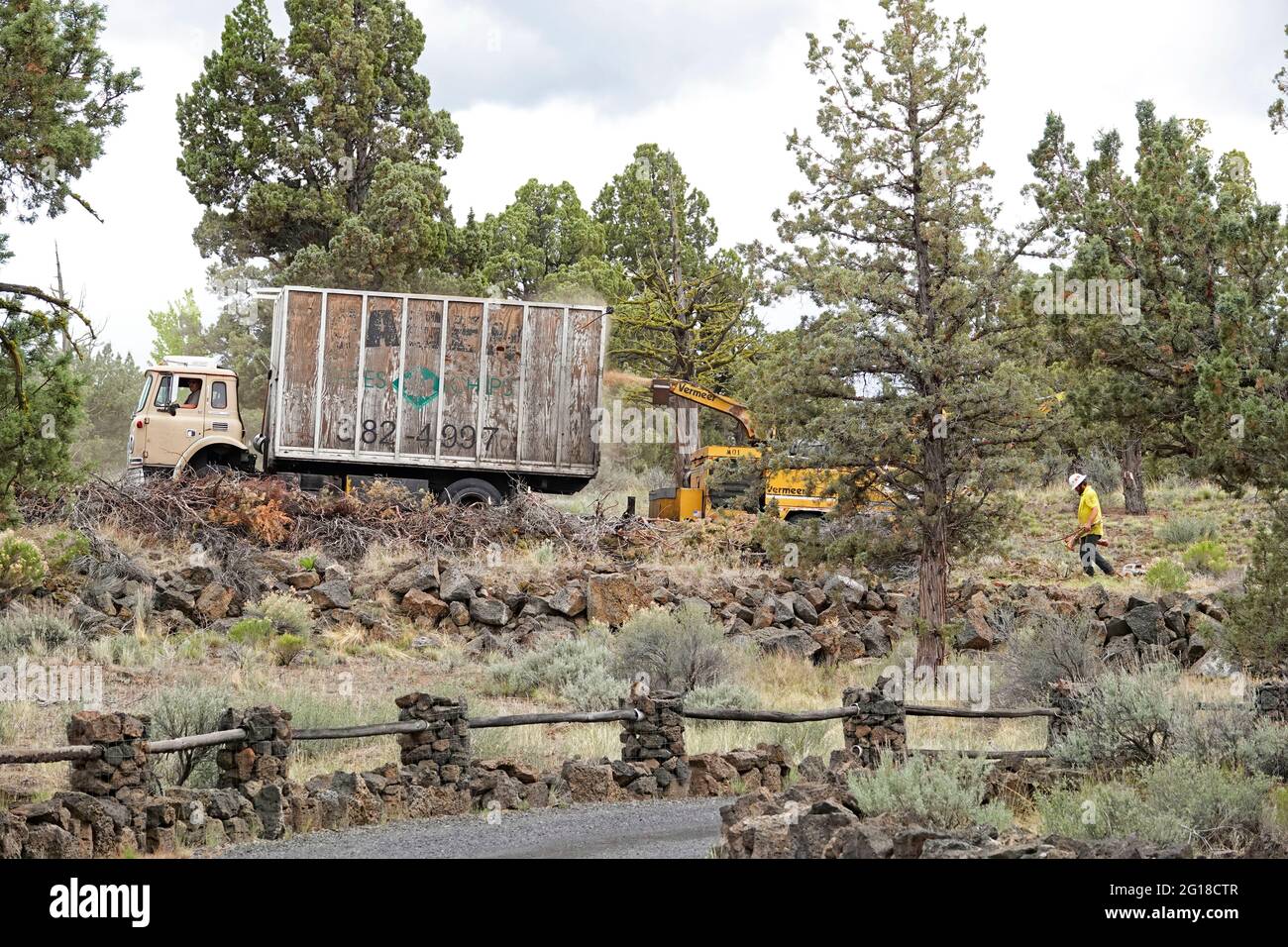 Un'azienda di paesaggio a Bend, Oregon, utilizza un ripper e un camion grande palo per rimuovere arti e rami morti da una strada di quartiere. La maggior parte degli li Foto Stock