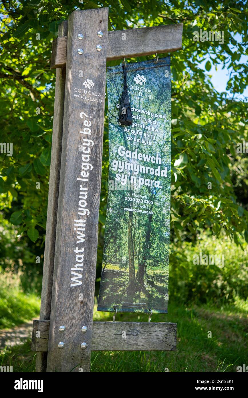 Sacchetto di poo del cane appeso al cartello del Bosco di Coed Cadw, Carmarthenshire, Galles, UK Foto Stock