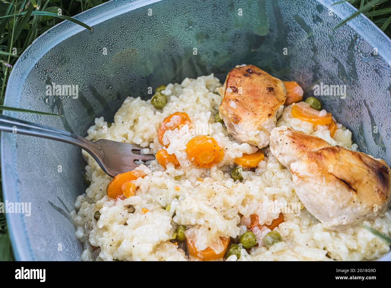 Riso fatto in casa e pollo alla griglia in una ciotola di plastica - pranzo nel parco Foto Stock