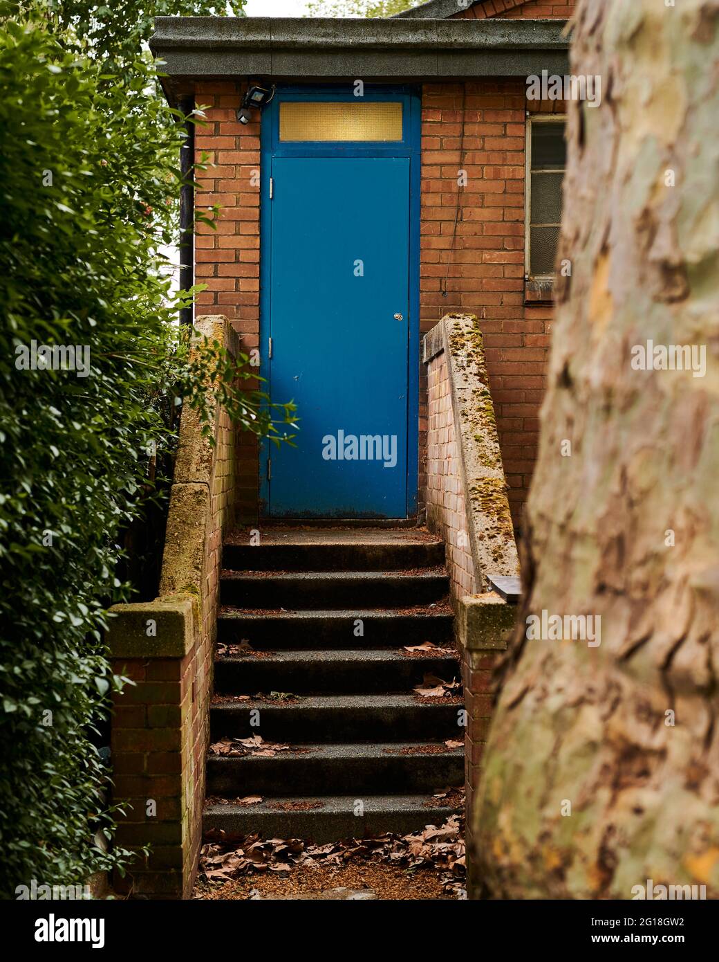 Gradini che conducono su a ad una porta blu e muro di mattoni circondato da fogliame e foglie Foto Stock