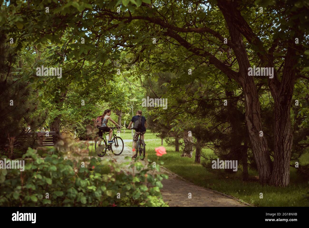 la gente cavalcare le biciclette nel parco giorno d'estate. Paesaggio estivo. Foto Stock