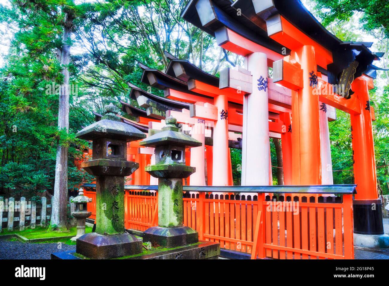 Porte torii rosse nella storica città giapponese di Kyoto nel parco verde. Foto Stock