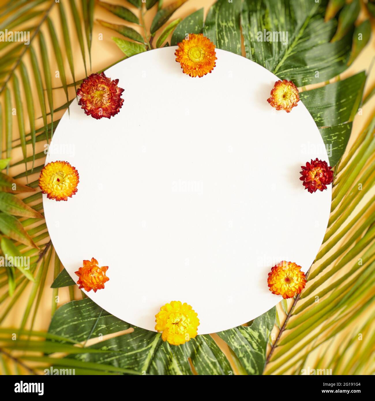 Natura Design decorativo alla moda. Disposizione piatta. Concetto di natura. Biglietto d'auguri floreale. Foto Stock