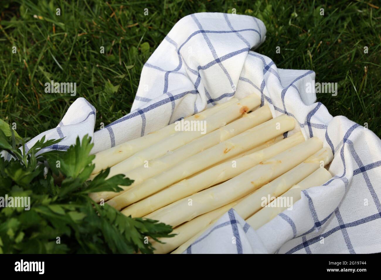 Asparagi bianchi decorati in una scatola di legno Foto Stock