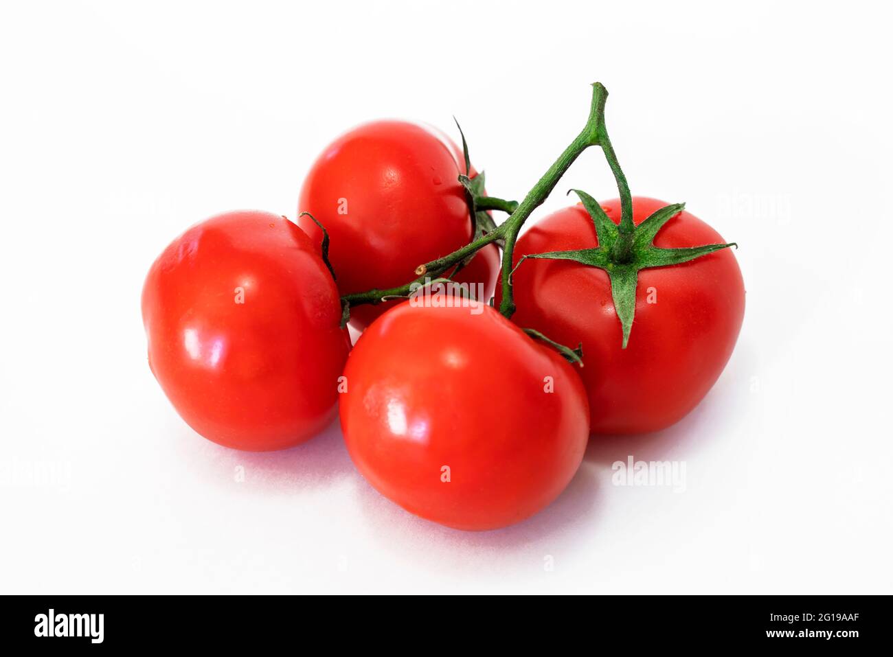 Pomodori. Quattro pomodori su un ramo. Pomodori interi, su bianco. Profondità di campo completa. Foto Stock