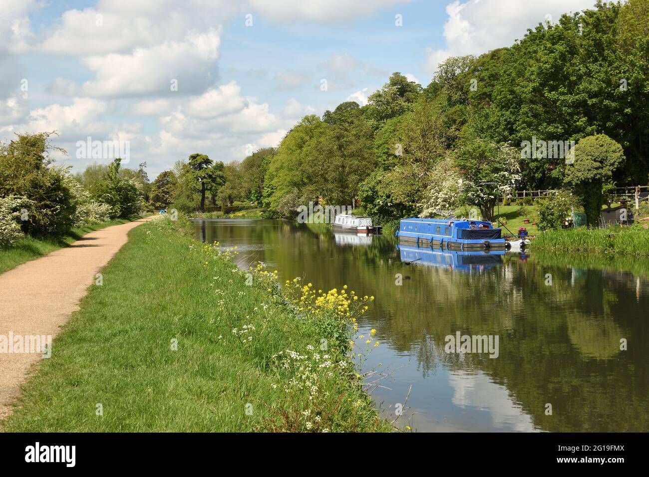 Il canale di navigazione Lee tra le città di Hertford e Ware in un sole, primo giorno d'estate. Hertfordshire, Inghilterra, Regno Unito. Foto Stock