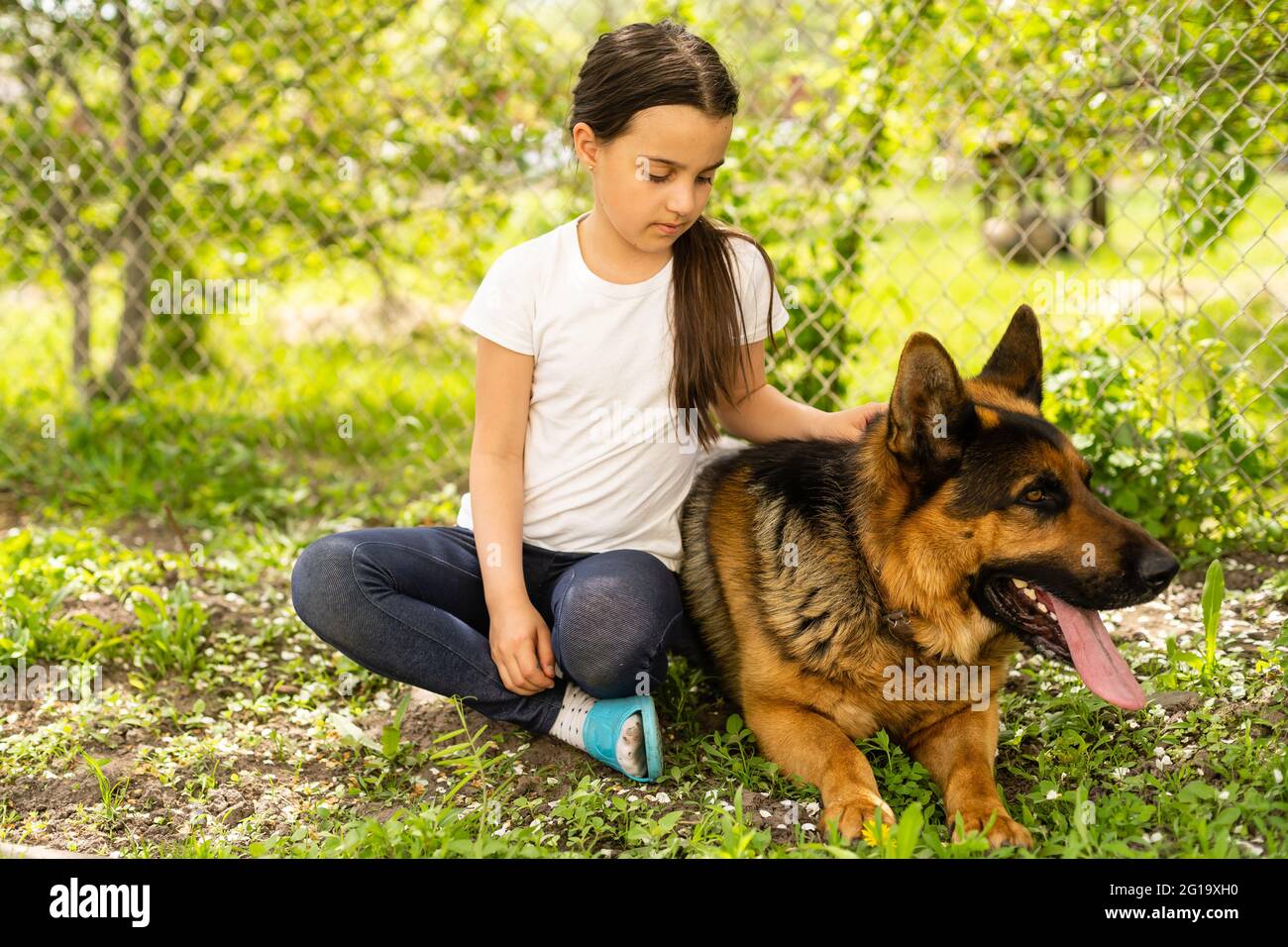 bella bambina con un pastore tedesco che gioca sul prato all'ora del giorno  Foto stock - Alamy