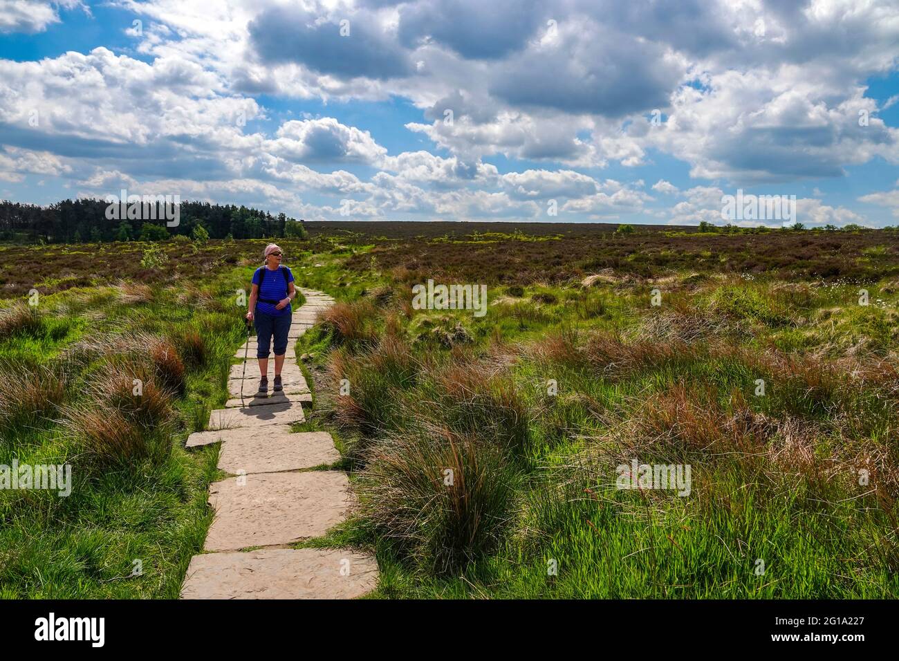 Escursionista femminile sul sentiero flagstone, vicino a Sheffield, South Yorkshire, Inghilterra settentrionale, Regno Unito Foto Stock