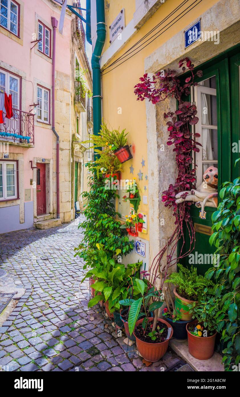 Strade strette con case tradizionali nel quartiere di Alfama, Lisbona, Portogallo Foto Stock