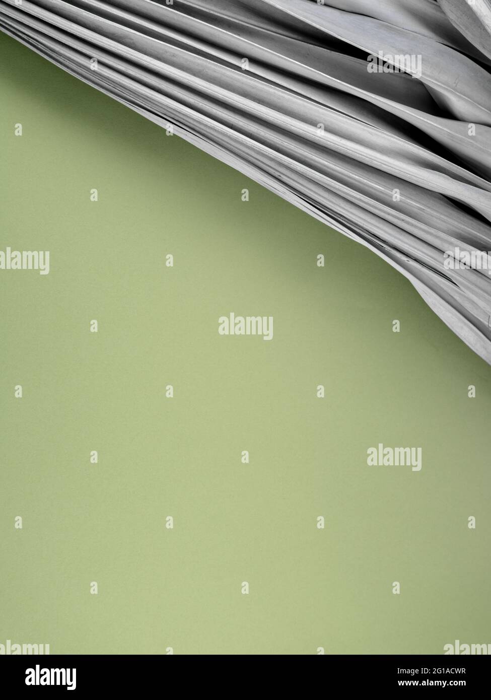 Foglia di palma beige asciutta su sfondo verde fresco. Sistemazione con spazio e composizione per mockup, testo o design. Giorno della terra, concetto ecologico o naturale. Foto Stock