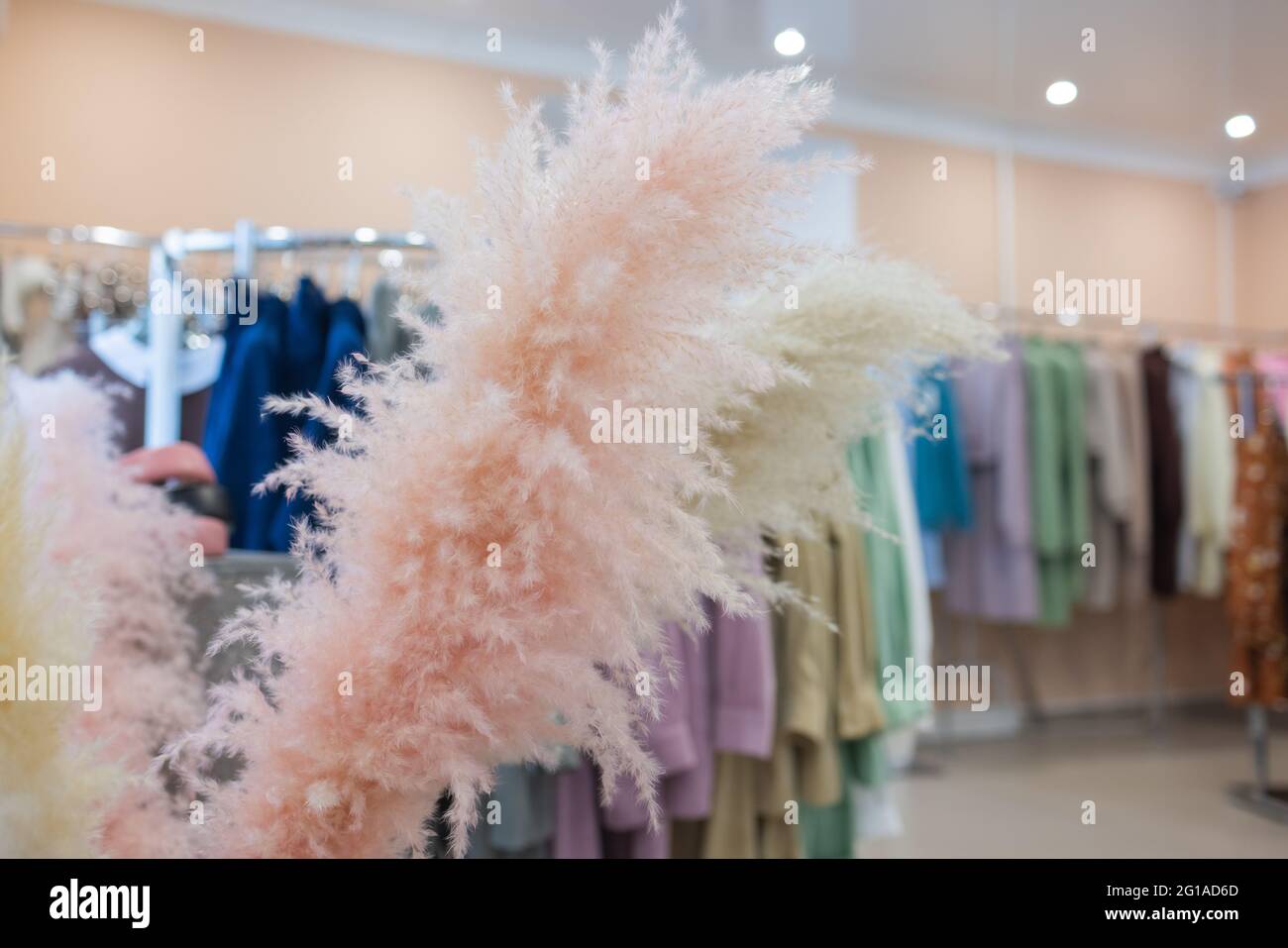 Dried Pampas Grass Immagini E Fotos Stock Alamy