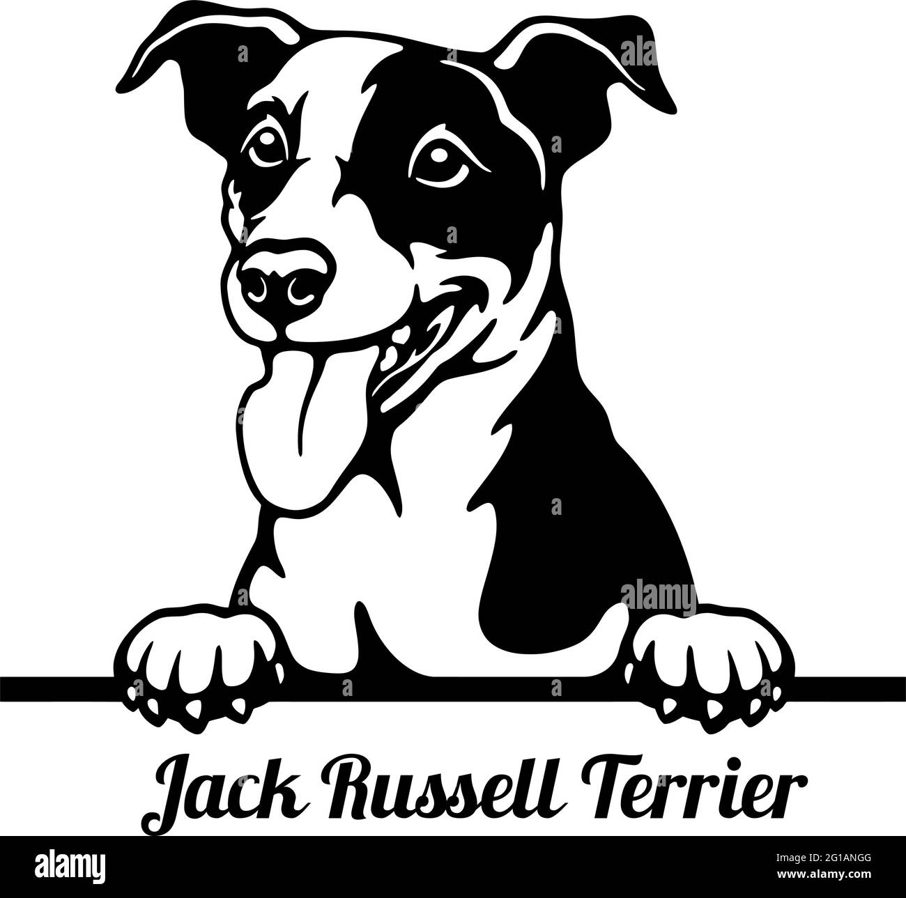 Jack Russell Terrier Pechino cane - testa isolata su bianco - vettore stock Illustrazione Vettoriale