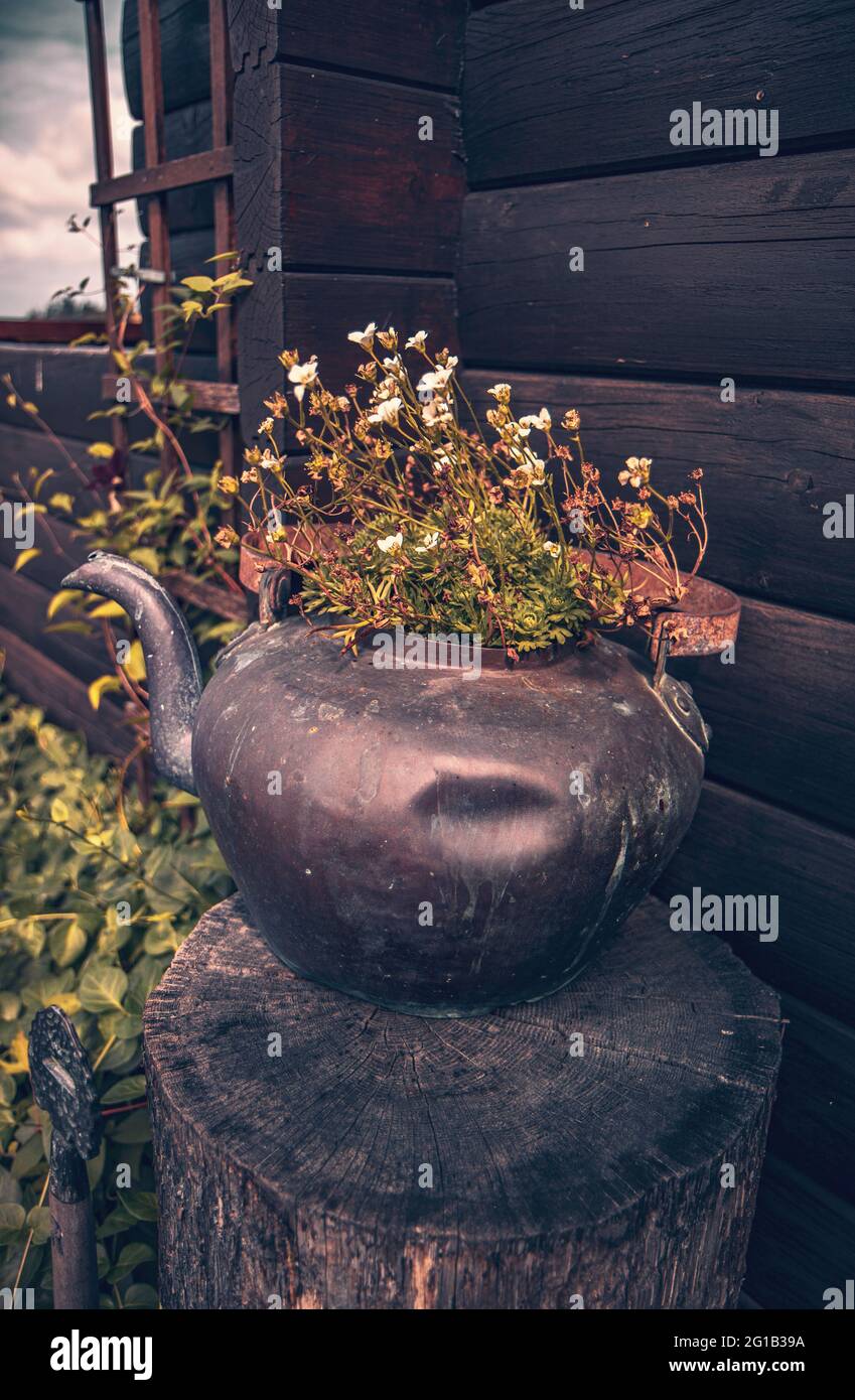 Großer Blumentopf im Sommer als wundervolles Stilleben - Blumenkübel im Minimalismus Stil als dekoration für den Garten Foto Stock