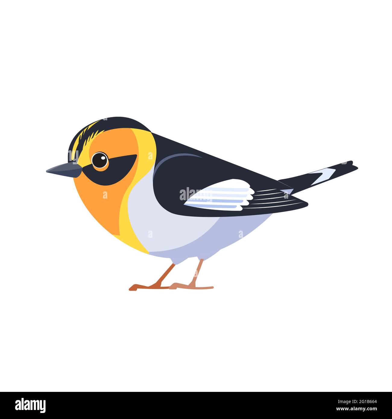 Blackburnian Warbler è un piccolo nuovo mondo Warbler. Setophaga fusca. Uccello Cartoon stile piatto bellissimo carattere di ornitologia, illustrazione vettoriale Illustrazione Vettoriale