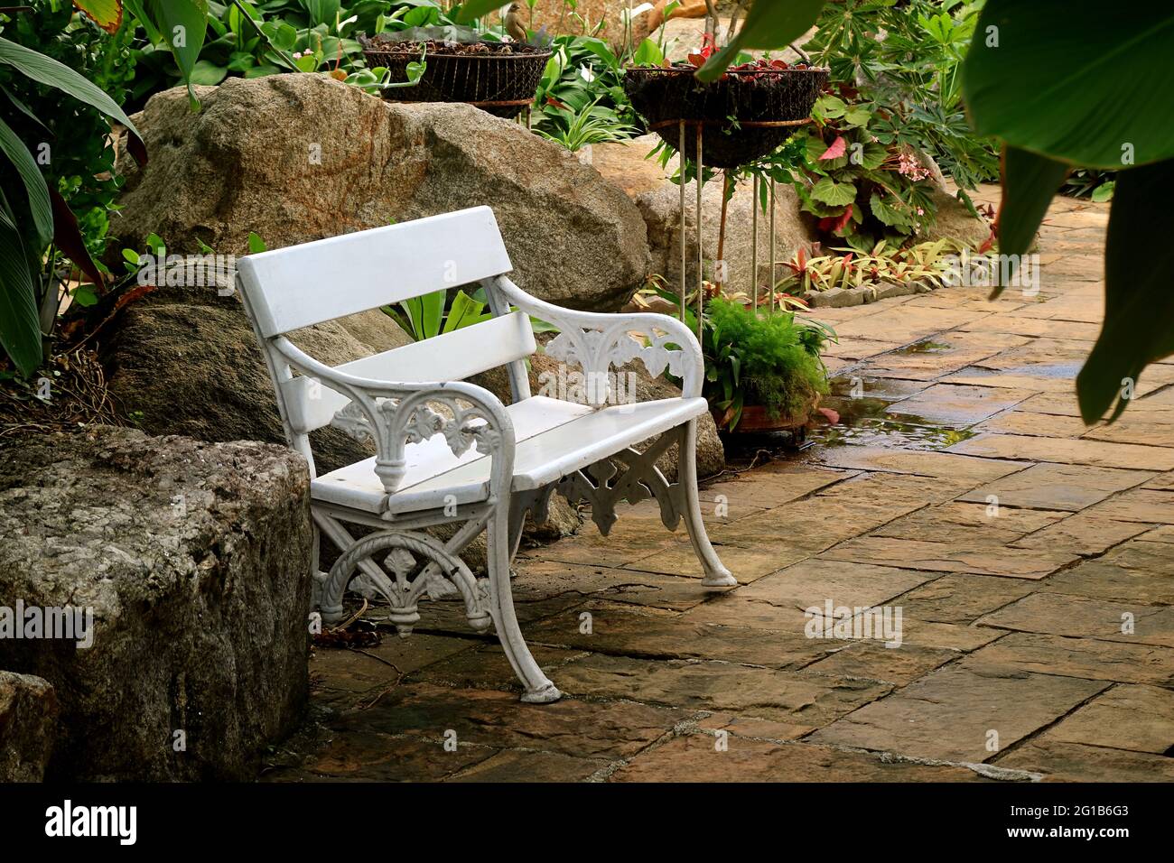 Panca bianca vuota d'epoca in un giardino tropicale Foto Stock