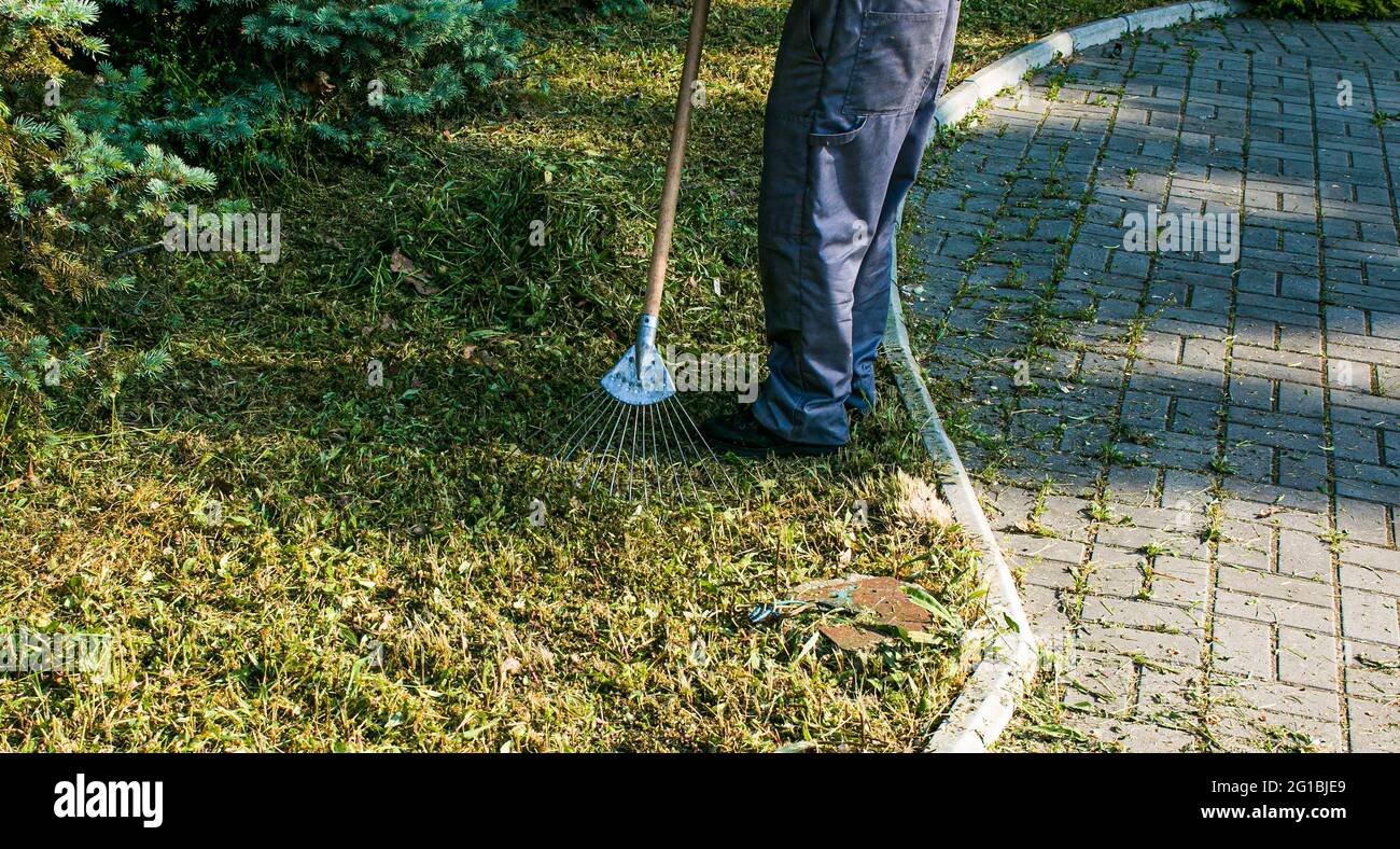 I dipendenti dei servizi pubblici della città sono impegnati nella pulizia delle foglie secche sul prato del parco cittadino. Lavoro di rastrello. Foto Stock