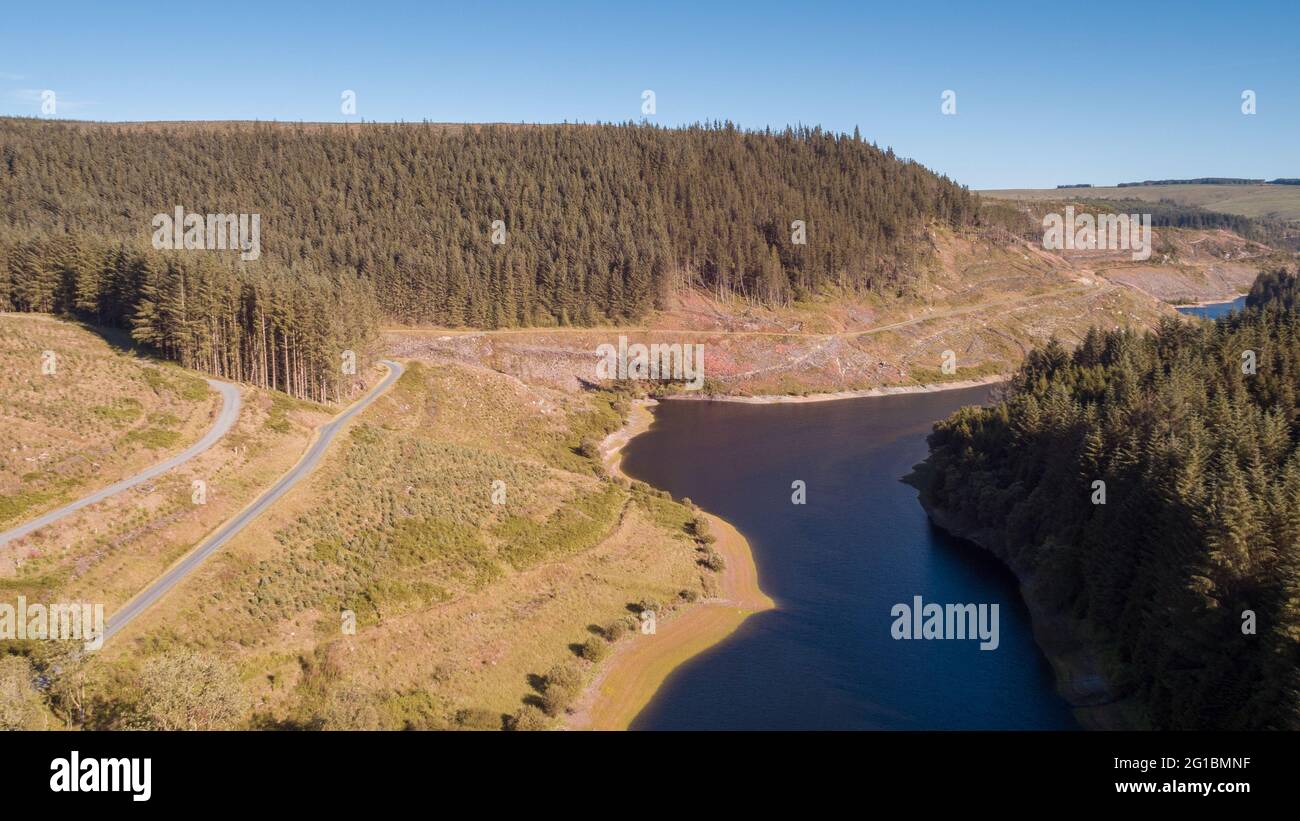 Vista aerea di conifere non native intorno al lago artificiale di Llyn Brianne, Mid-Wales, Regno Unito Foto Stock