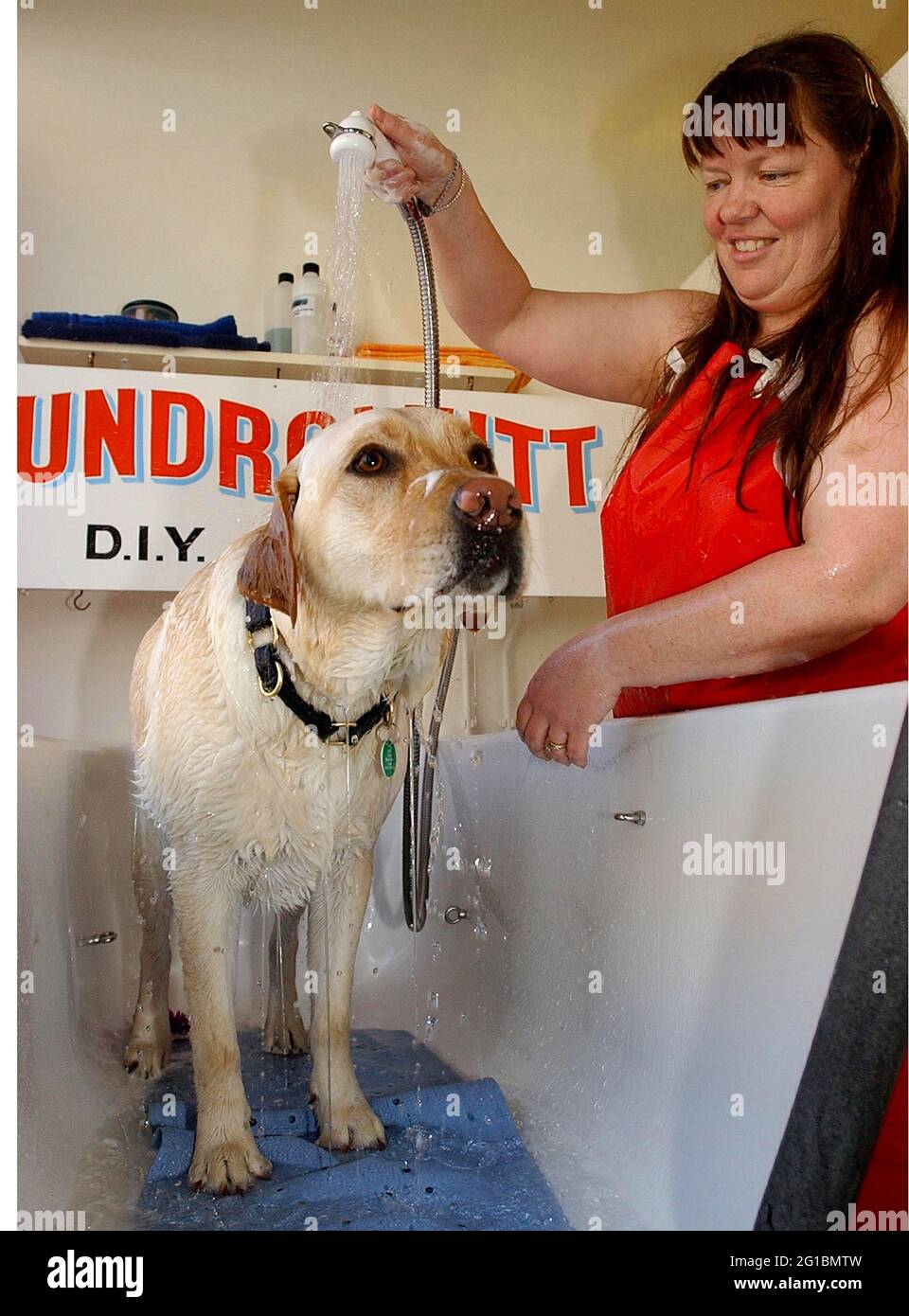 RACHELLE HADLEY DÀ A LABRADOR LUTHER UN LAVAGGIO A LAUNDROMUTT IL LAVAGGIO DEL CANE DIY A SOUTHSEA, HANTS. PIC MIKE WALKER, 2003 Foto Stock