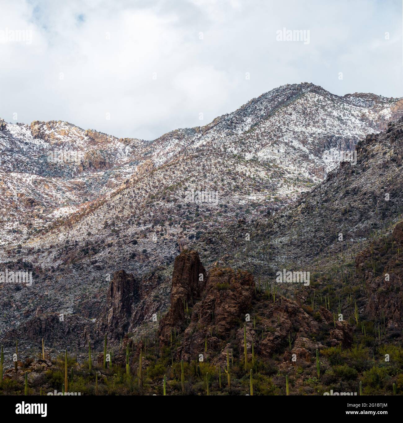 Una neve rara in Tucson Arizona Foto Stock