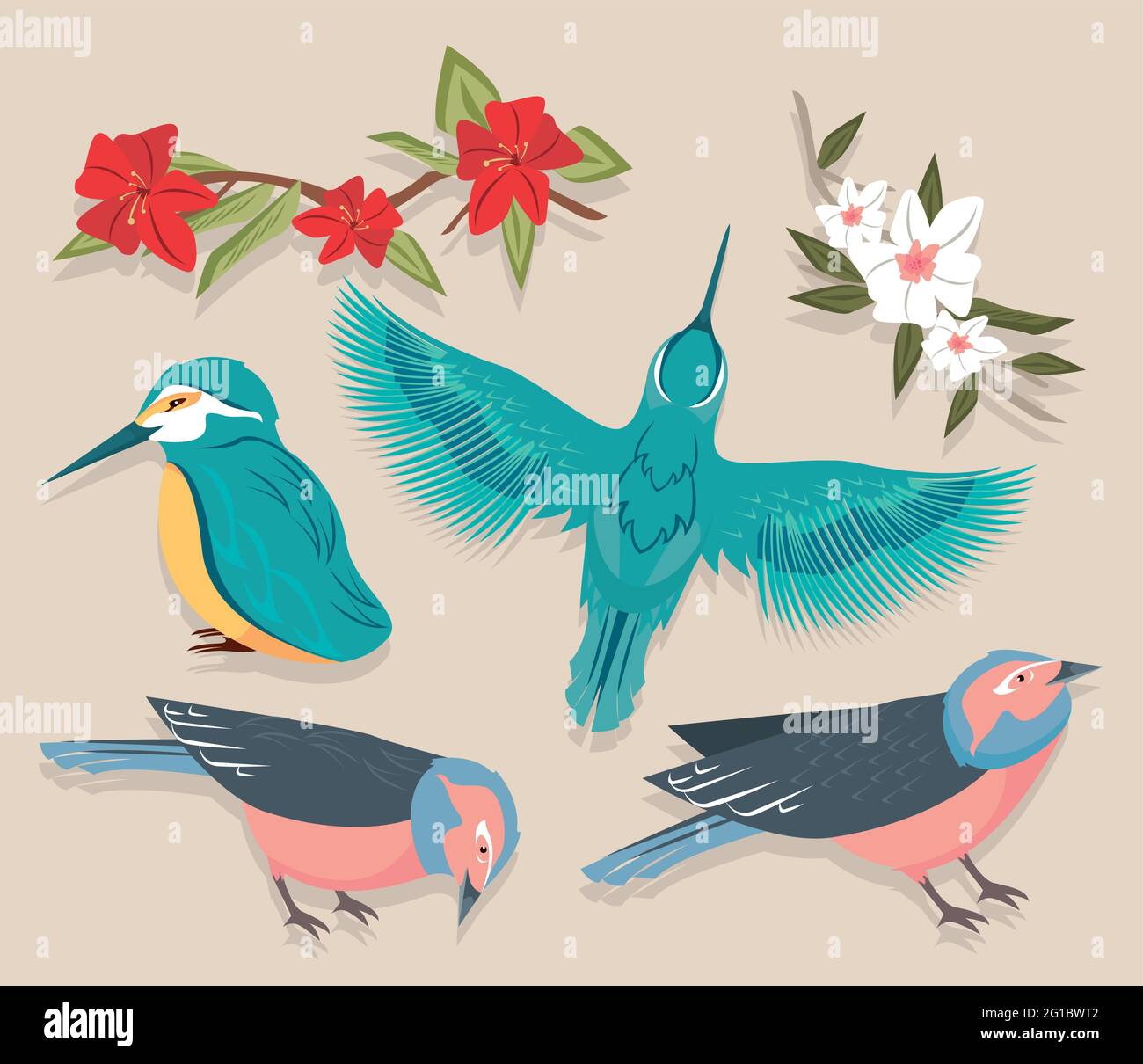 quattro uccelli e fiori Illustrazione Vettoriale