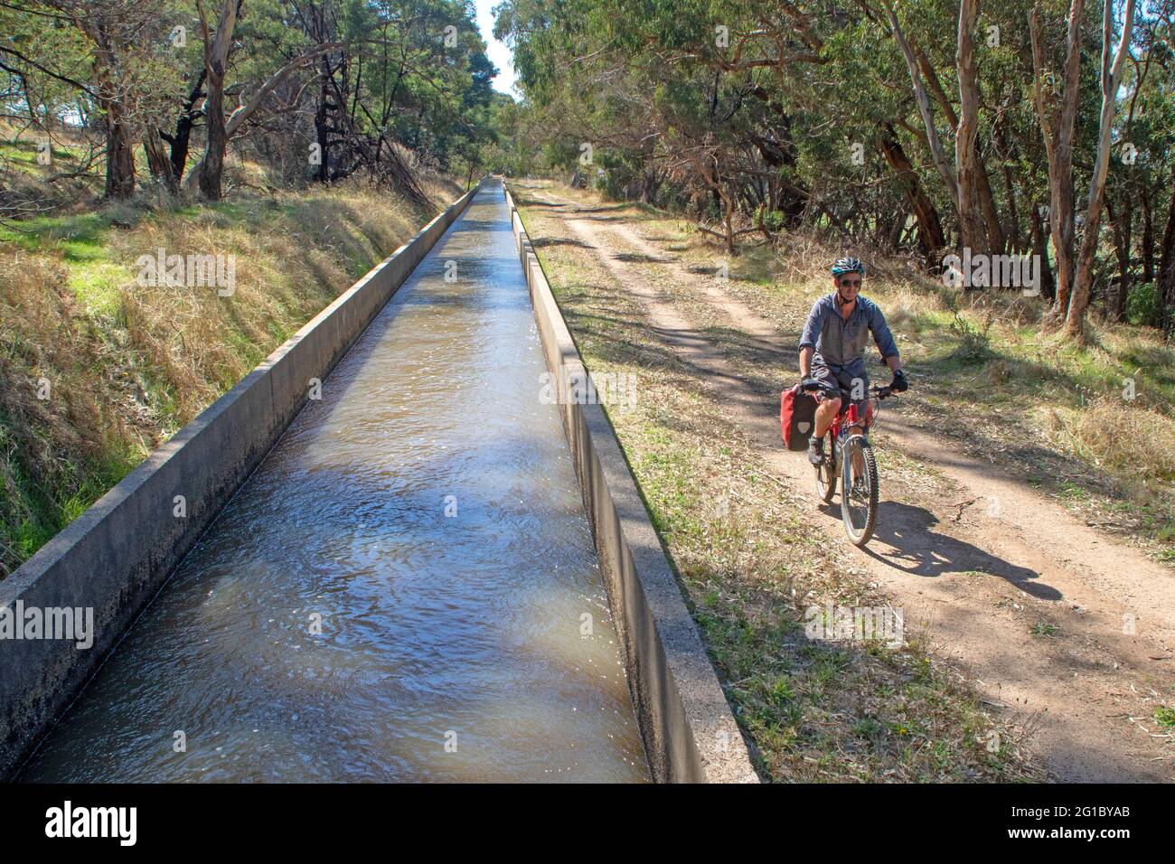 Ciclista sulla pista Goldfields accanto al canale d'acqua Coliban vicino Bendigo Foto Stock