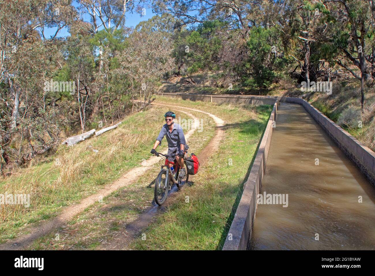 Ciclista sulla pista Goldfields accanto al canale d'acqua Coliban vicino Bendigo Foto Stock