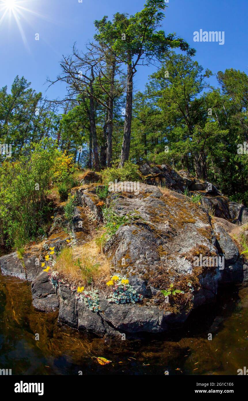 Lago di Thetis, foto della riva da kayak, Langford, BC, Canada Foto Stock