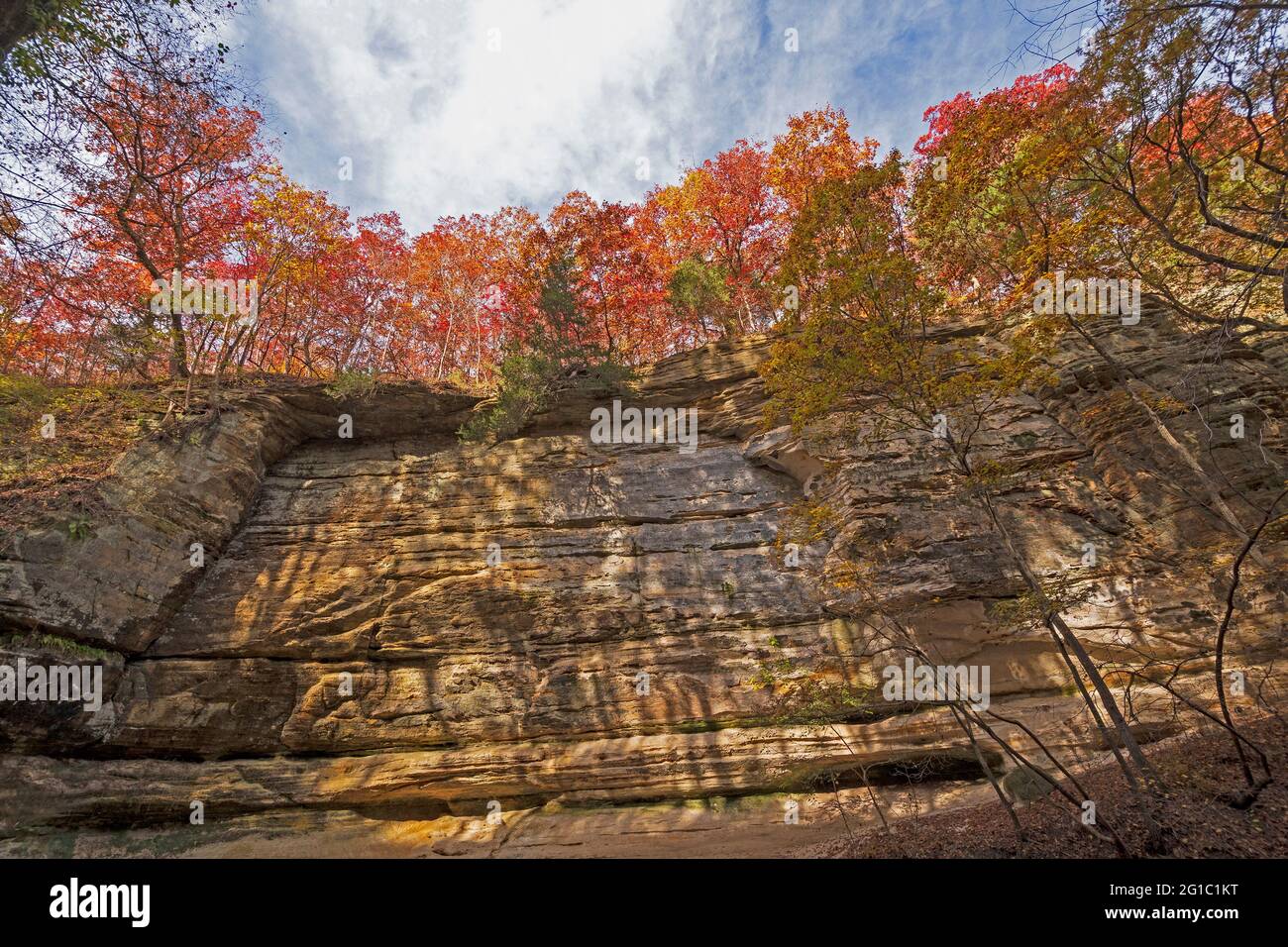 Fall Peeking sulle pareti del Canyon nel Lasalle Canyon nello Starved Rock state Park in Illinois Foto Stock