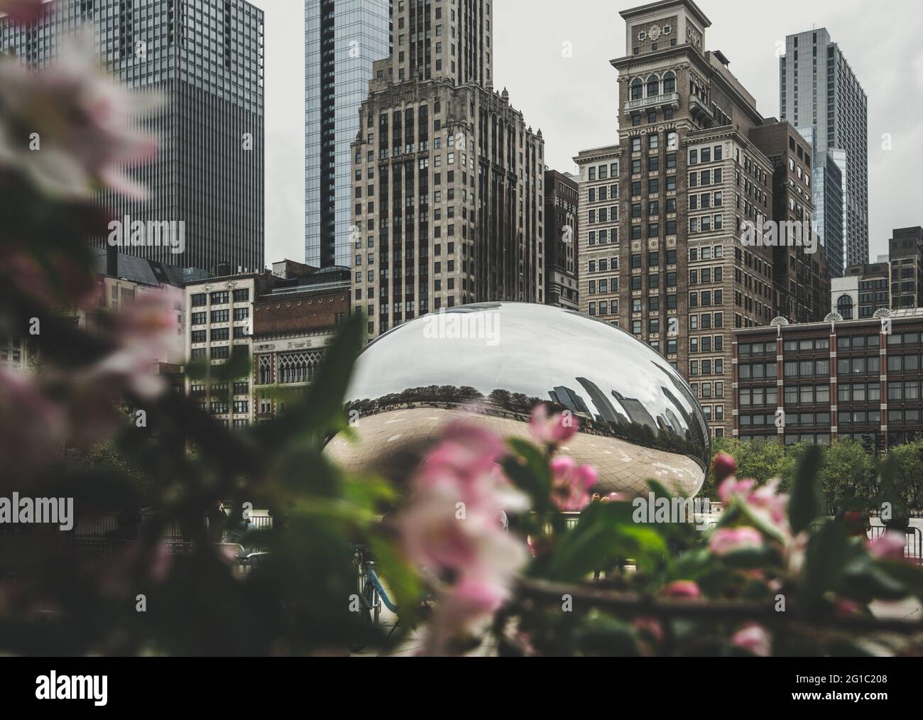 Si trova nello skyline del centro di Chicago e nella scultura Cloud Gate, nota anche come Bean Foto Stock
