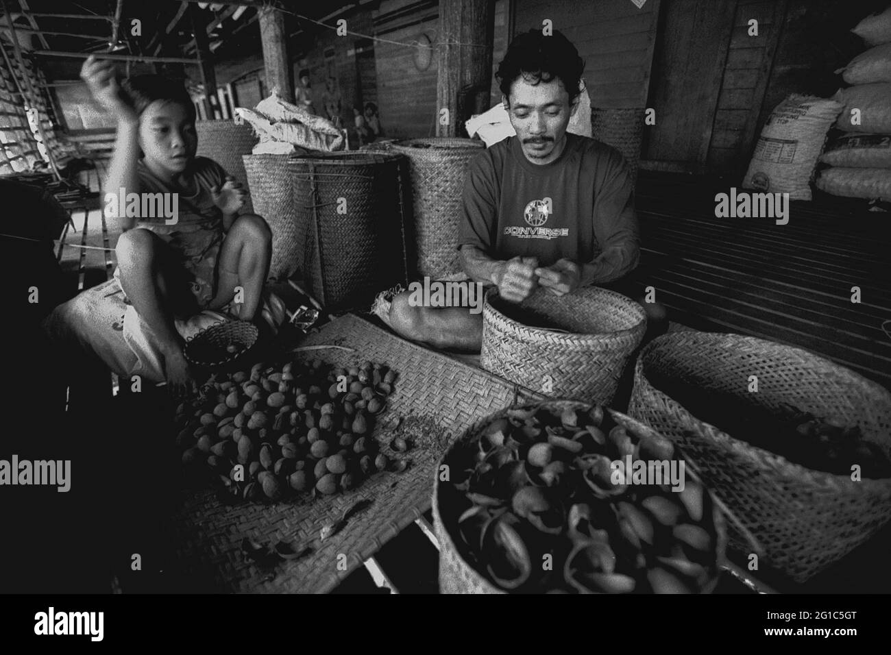 Sungai Uluk Palin, Kapuas Hulu, Kalimantan occidentale, Indonesia. Marzo 2007. Un uomo e un bambino che rimuove le conchiglie dalle noci di sego Borneo (tengkawang) alla solitudine della comunità di Dayak Tamambaloh in Uluk Palin.--fotografato su film bianco e nero, scansionato, digitalizzato. Foto Stock