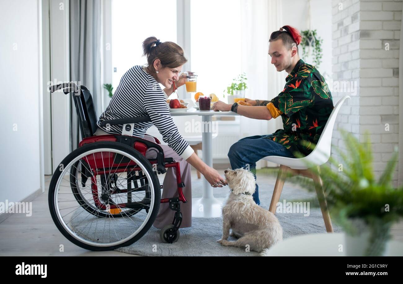 Donna matura in sedia a rotelle seduta al tavolo con un figlio e un cane in casa, mangiare. Foto Stock