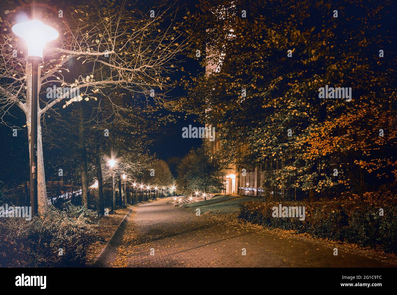 Di notte in città nelle strade della stazione centrale di Essen. Foto Stock