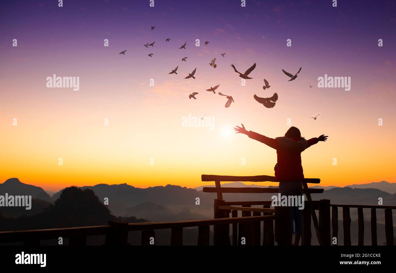 Ragazza alza la mano in cima alla montagna e al tramonto con gli uccelli che volano nel cielo. Concetto di avventura di libertà di viaggio. Foto Stock
