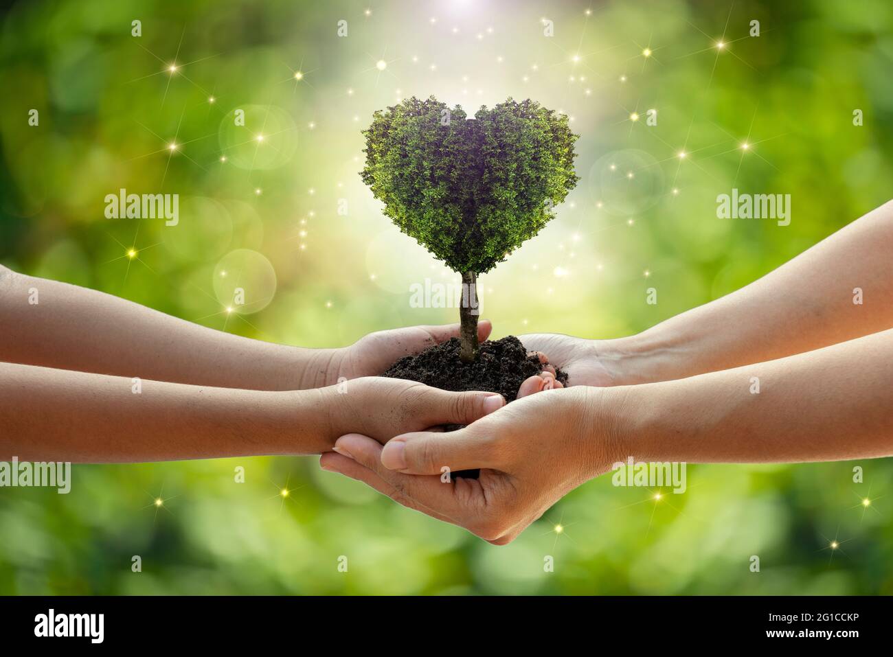 Ambiente giorno della Terra mani dalla natura. Le mani della ragazza che tengono gli alberi della forma del cuore che crescono sullo sfondo verde del bokeh. Ecologia e natura concetto. Foto Stock