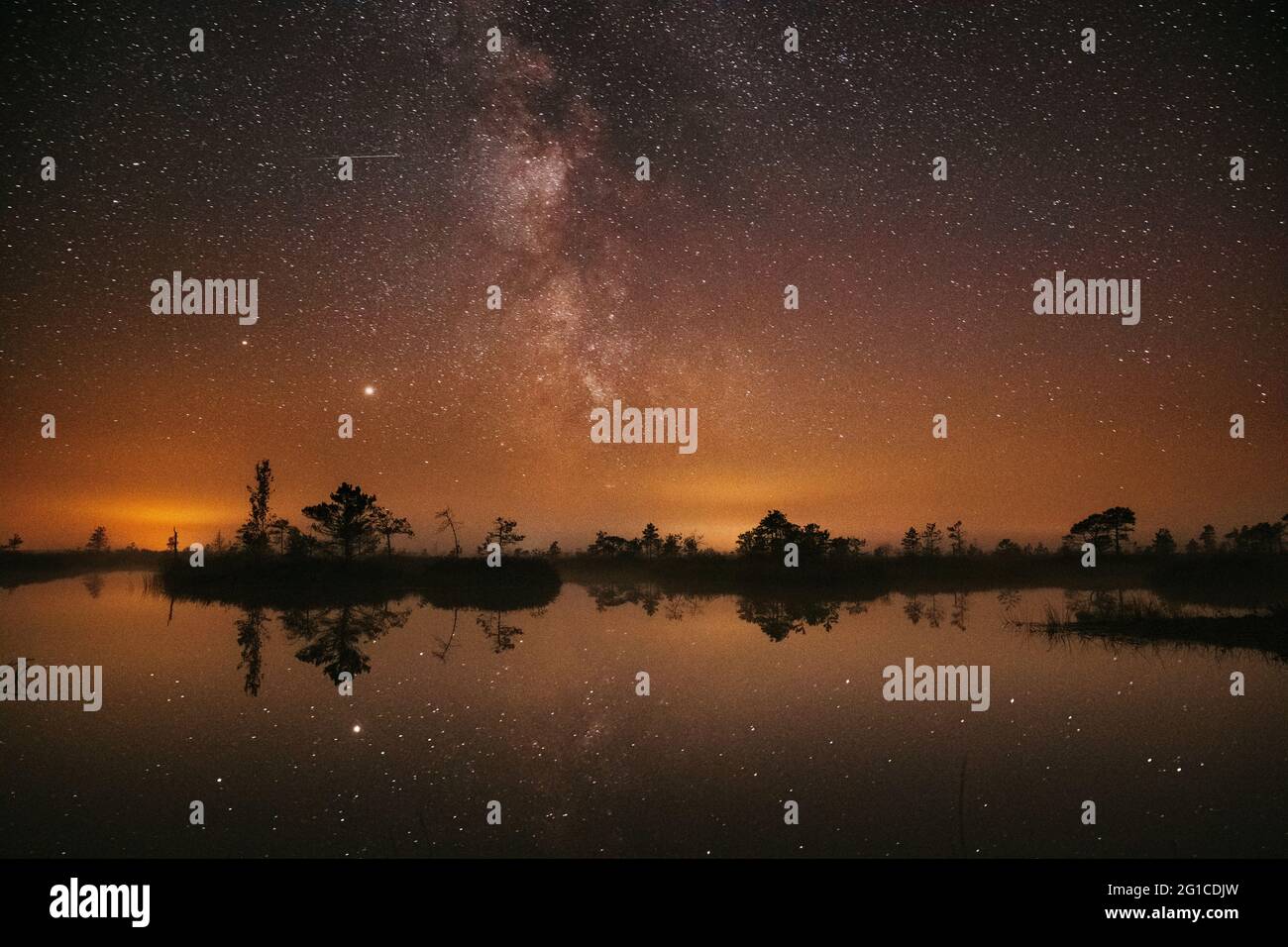 Swamp Bog Marsh Wetland Lake natura paesaggio notturno. Notte Starry Sky Milky Way Galaxy con stelle incandescenti e Luna. Nature Night Sky Reflection in Foto Stock